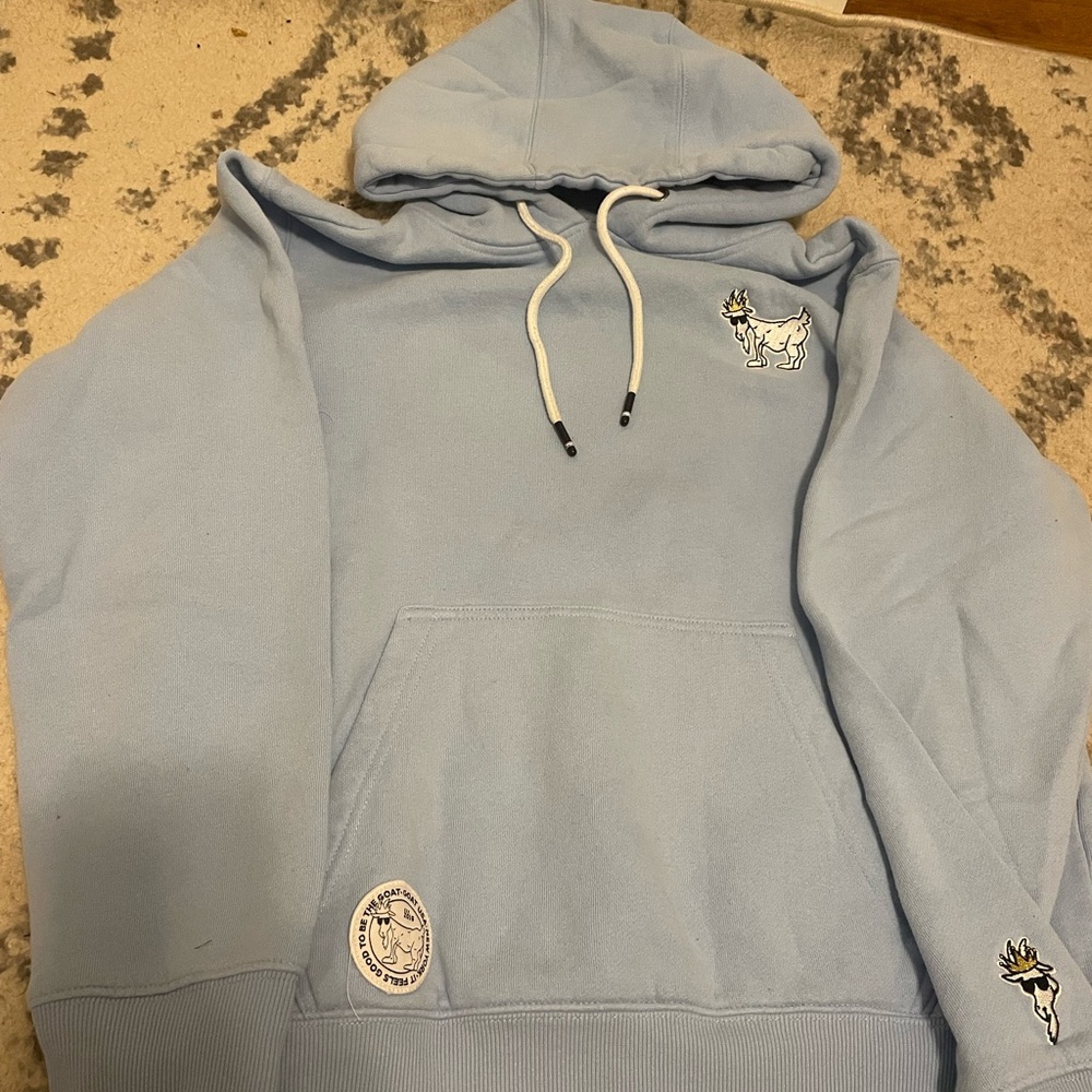 Light Blue Hoodie with Embroidered Design